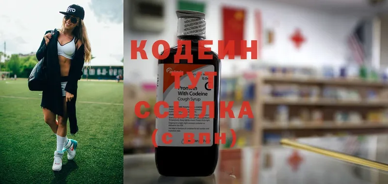 Кодеин Purple Drank  ссылка на мегу ссылки  Заполярный 