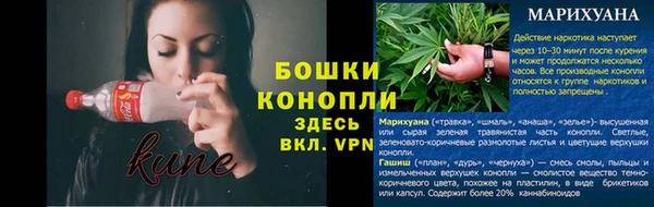 тгк Новокубанск