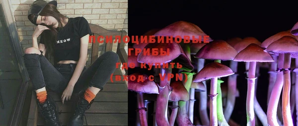 тгк Новокубанск