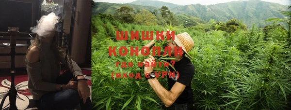 тгк Новокубанск