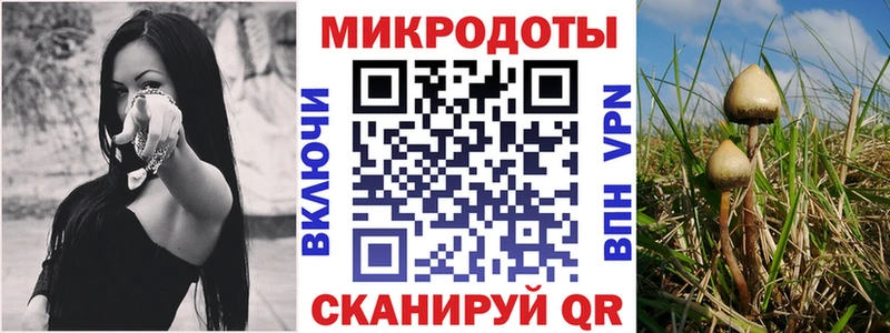 mega ТОР  Заполярный  darknet формула  Псилоцибиновые грибы прущие грибы 